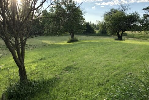 Side Grass After A