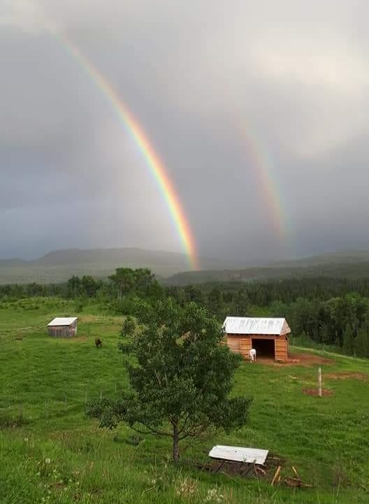 FB_IMG_1623373700069