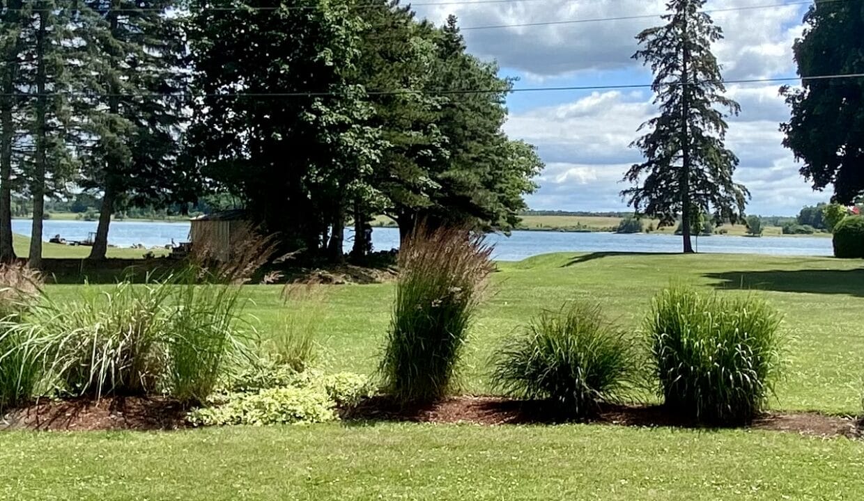 BFC3B446-1FC6-48D9-9ED8-631347D47A59