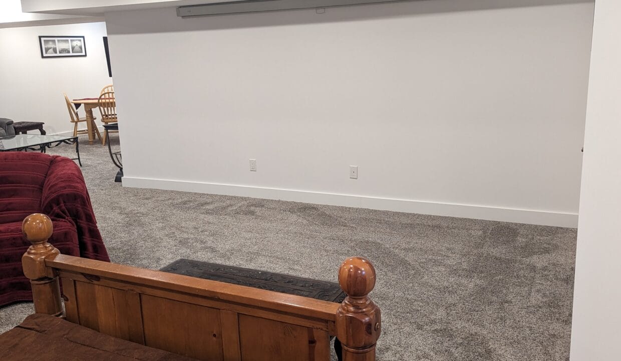 TV SCREEN WALL DOWNSTAIRS #17