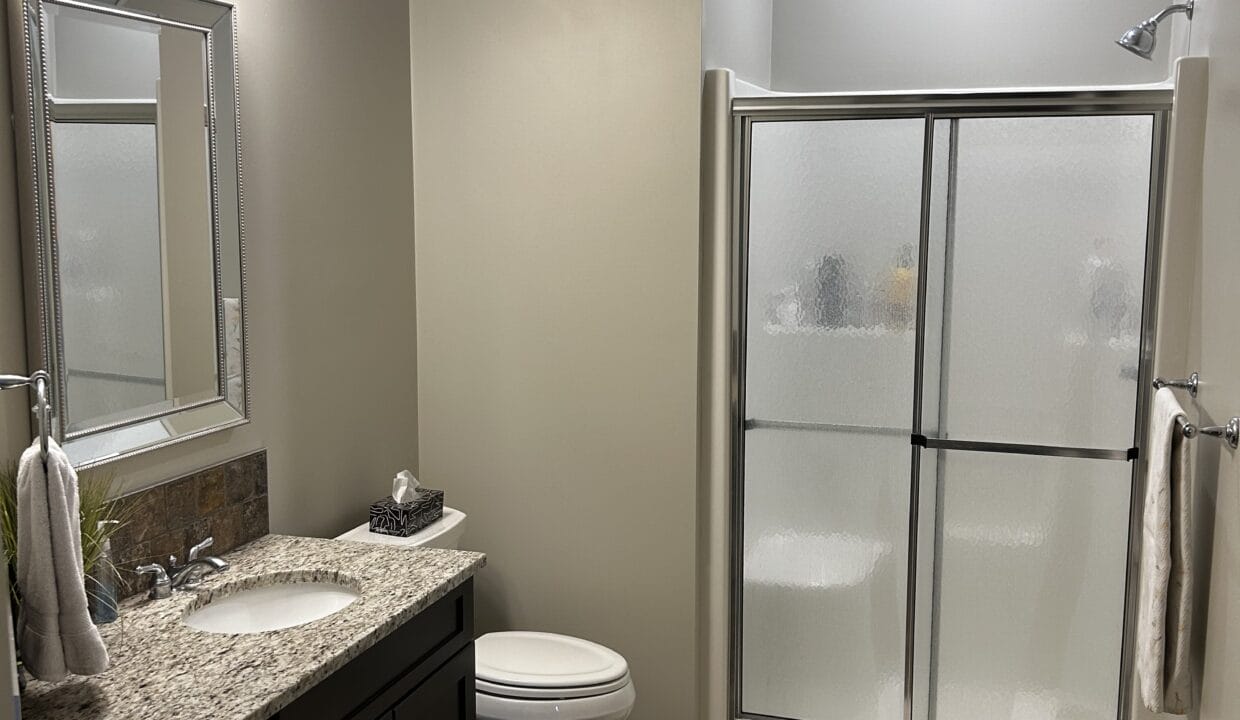 DS Bathroom