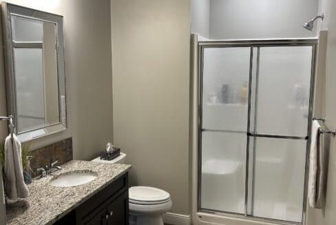 DS Bathroom