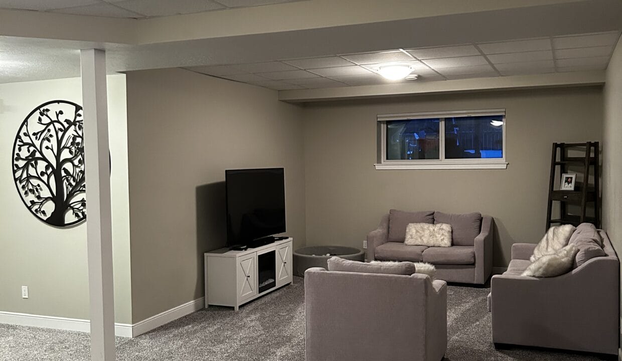 DS Livingroom1
