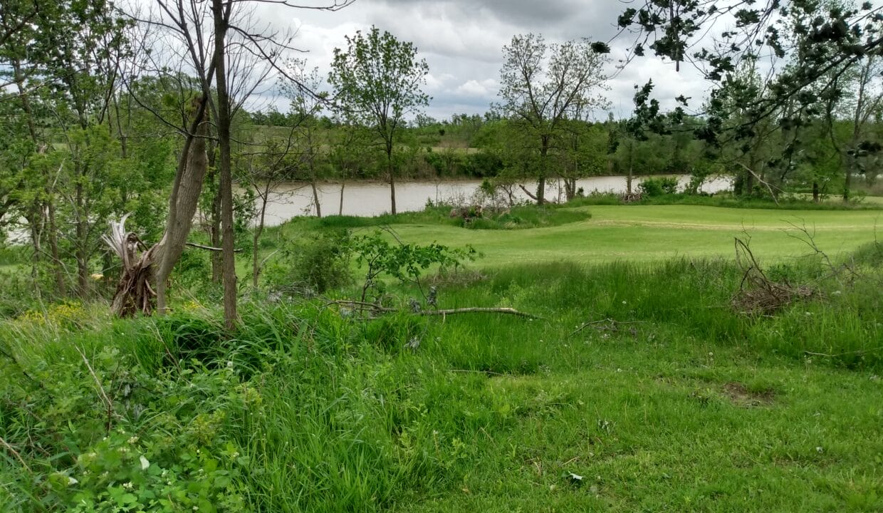 IMG_20220526_150247297_HDR - Copy