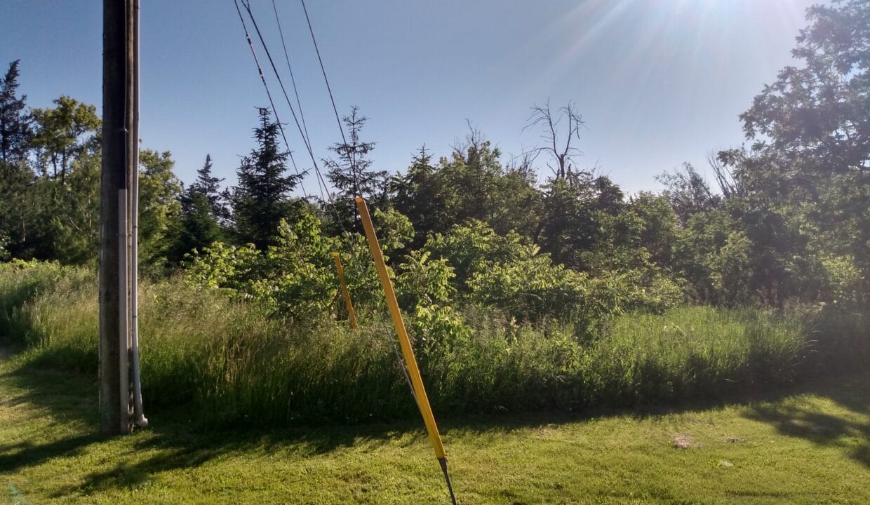 IMG_20220617_082036100_HDR - Copy