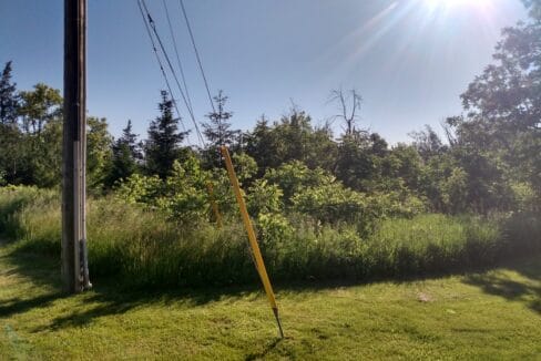 IMG_20220617_082036100_HDR - Copy