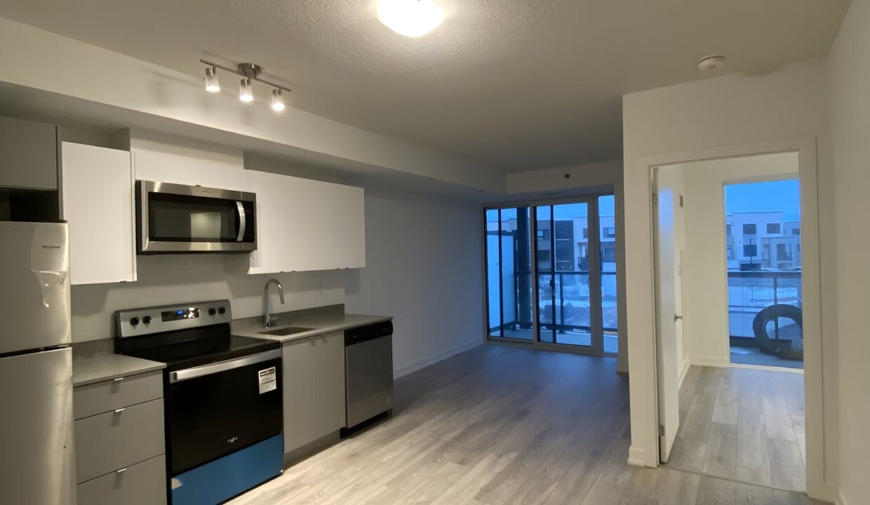 Open Concept Kitchen + Living