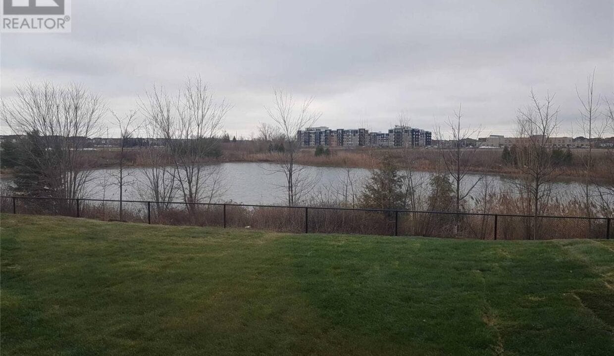 backyard view
