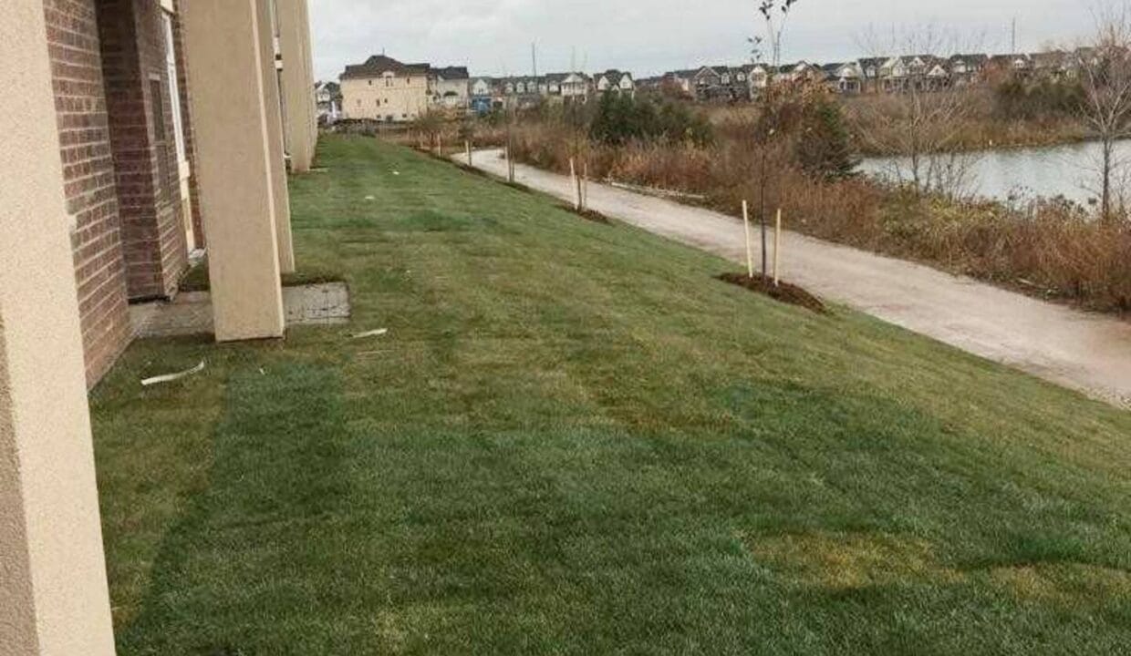 backyard1