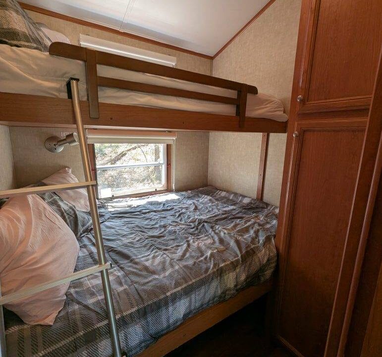 1000022513-scaled-1-771x1024