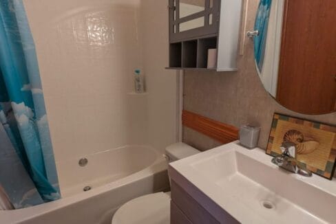 1000022514-scaled-1-771x1024