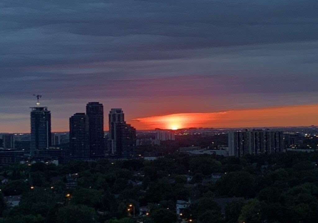 ___18