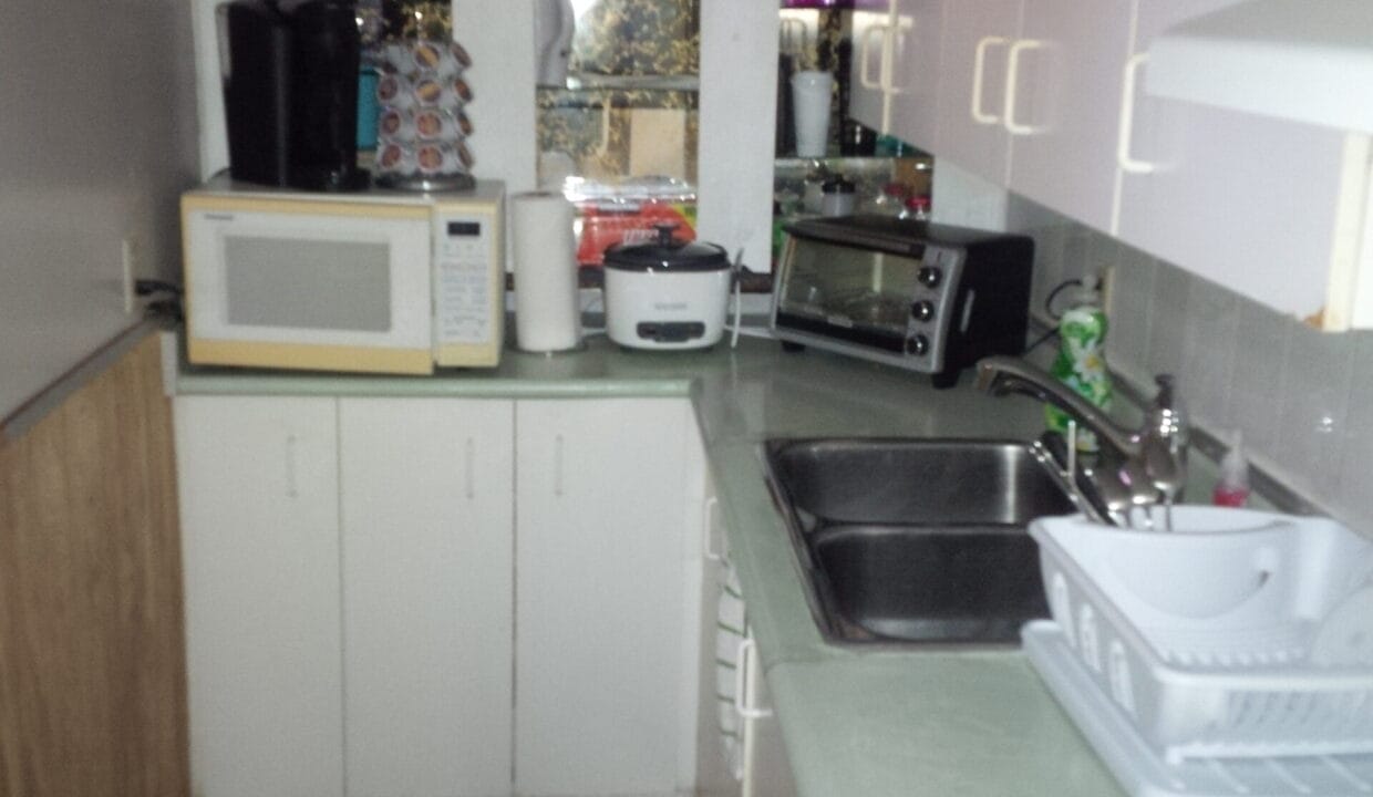 206-snapshot#32-downstairs- kitchen- picture 2 of 2 (2)