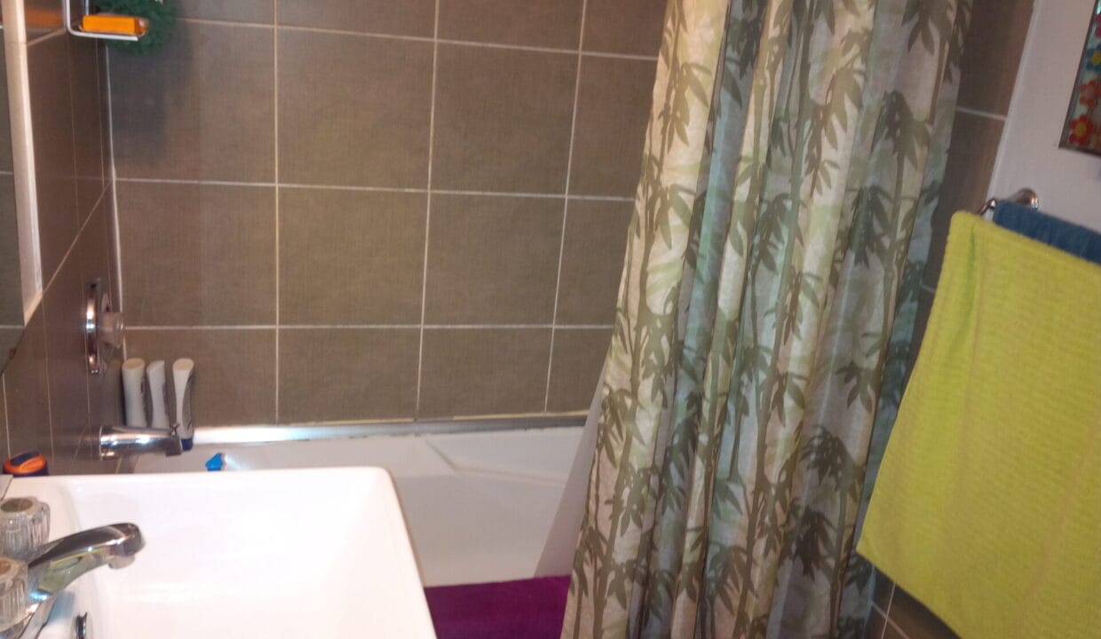206-snapshot#34-downstairs- bathroom- picture 2 of 3- IMG (2)