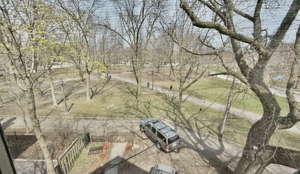 45765601_IMG_6005