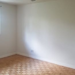 561727231_1291330632746347_4949229976500931419_n