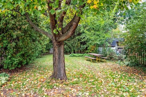 411-enfield-road-burlington-W5420741-34