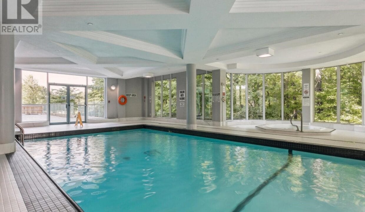 swiming pool with forest